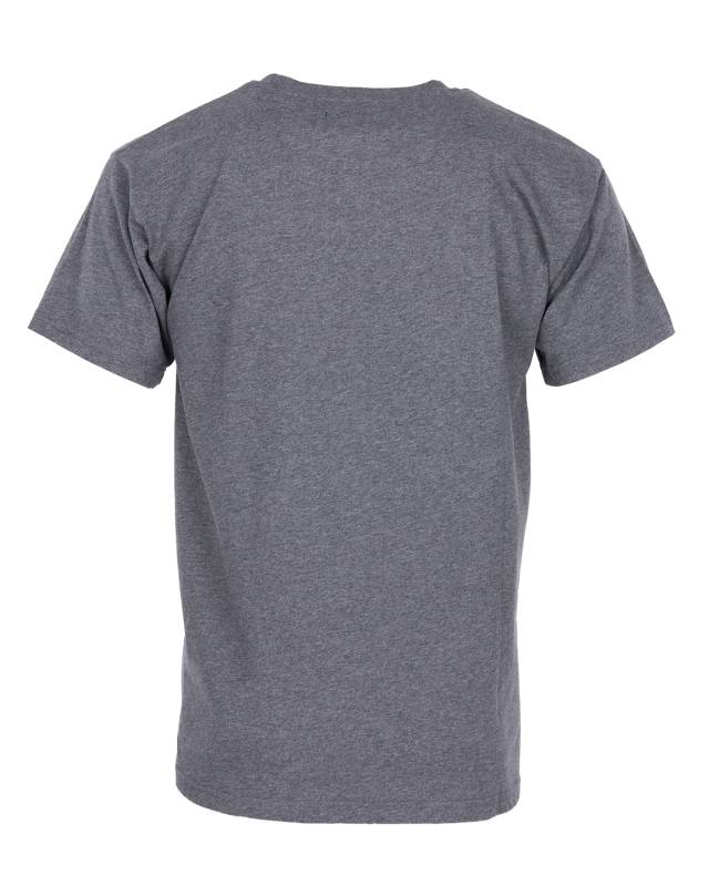 Pike Brothers 1969 Sports Tee grey Fabrikladen