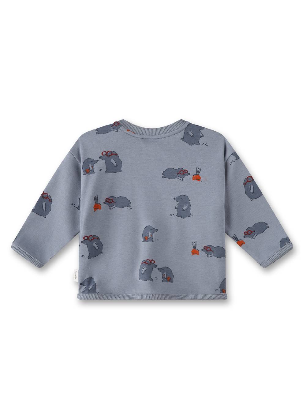 Sanetta Jungen-Sweatshirt Grau Tiefpreis