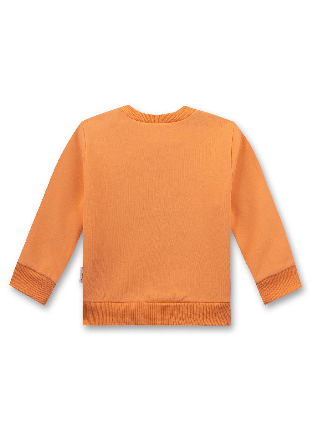 Sanetta Jungen-Sweatshirt Orange Bis zu 65% Rabatt